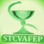 STCVAFEP